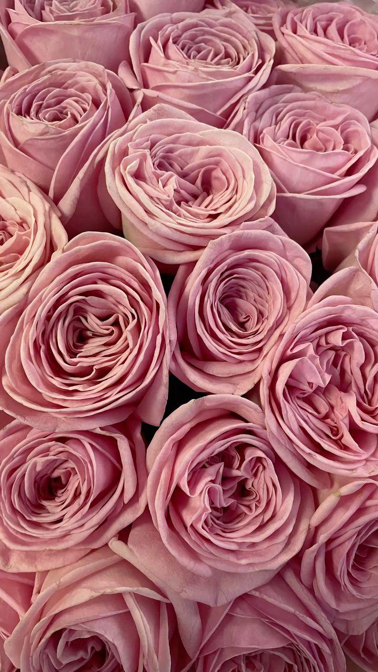 Corporate meeting room with carefully timed floral arrangements that maintain elegance throughout business hours